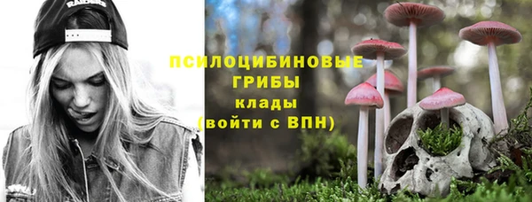 первитин Алексеевка